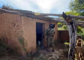 Localizan nuevos restos humanos en Sinaloa