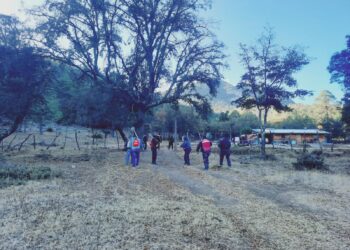 Refuerza GE combate a incendio en Sierra de Miquihuana