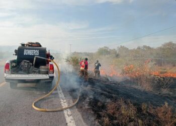 Escalada de incendios moviliza a cuerpos de emergencia en Victoria