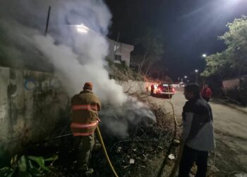 Bomberos atienden incendios de palmera y pastizales en distintos puntos de Ciudad Victoria
