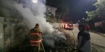 Bomberos atienden incendios de palmera y pastizales en distintos puntos de Ciudad Victoria