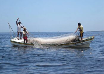 Crisis pesquera en la Laguna Madre