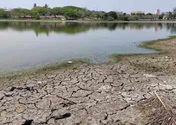 Dieciséis municipios de Tamaulipas en alerta roja por sequía