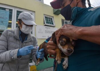Alertan por suplantación de personal de Salud en Ciudad Victoria