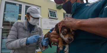 Alertan por suplantación de personal de Salud en Ciudad Victoria