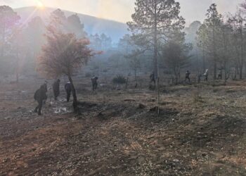 Despliegan operativo por incendio en municipio de Miquihuana