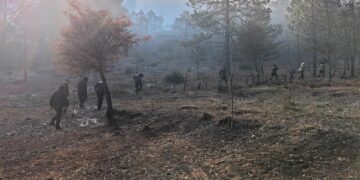 Despliegan operativo por incendio en municipio de Miquihuana