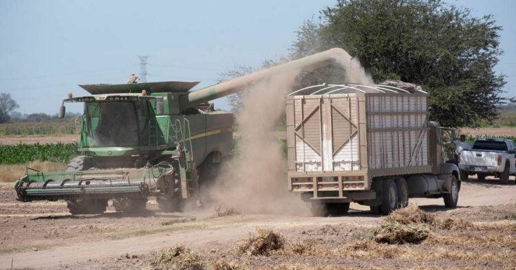 Agricultores advierten que alza al diésel impacta costos de fertilizantes, operación de maquinaria y transporte