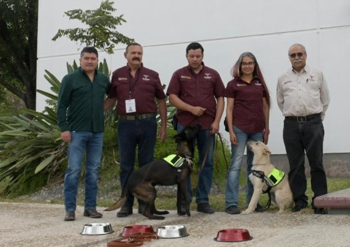 Integran perros adiestrados a inspección de gusano barrenador del ganado en casetas sanitarias