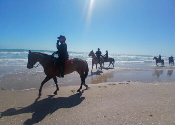 Realiza Grupo Montado de Guardia Estatal vigilancia en playa La Pesca de Soto la Marina