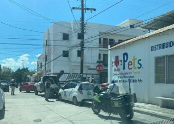 En Tamaulipas reducirán abusos de grúas; prohibirán retiro de autos con conductor presente