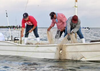 Reduce Conapesca 77% los requisitos para 12 permisos y concesiones de pesca y acuacultura