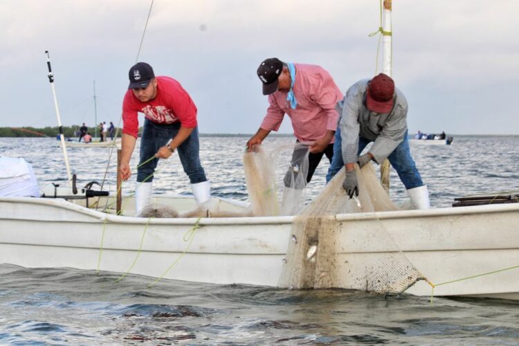 Reduce Conapesca 77% los requisitos para 12 permisos y concesiones de pesca y acuacultura