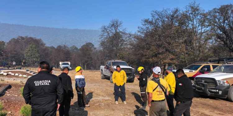 Despliegan operativo por incendio en municipio de Miquihuana