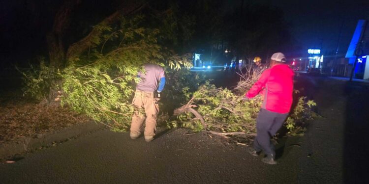 Atiende PC daños por ventarrón