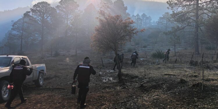 Despliegan operativo por incendio en municipio de Miquihuana