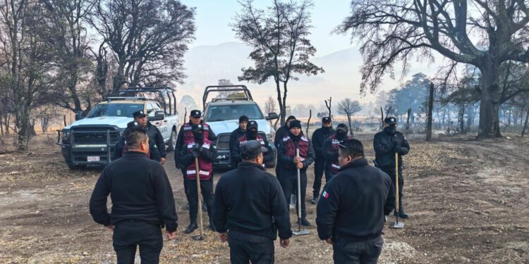 Despliegan operativo por incendio en municipio de Miquihuana