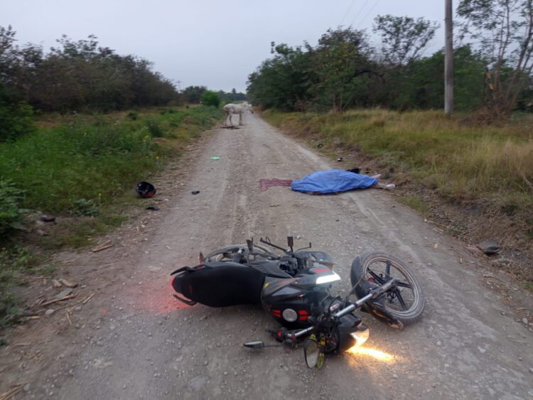 Muere en accidente estudiante del Conalep Mante