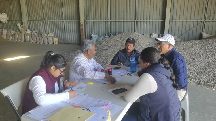 Cerrará AGRICULTURA registro al programa de estímulos a maíz el 31 de marzo