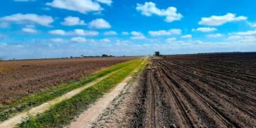 Inminente desastre agrícola en Tamaulipas; quedan sin sembrar 456 mil hectáreas por ruda sequía
