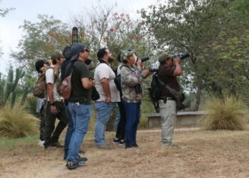 Reúne TAMUX a familias y estudiantes en experiencia de avistamiento de aves