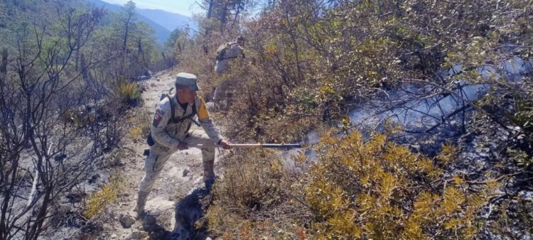 Incendio en Miquihuana: Brigadas avanzan en el control del fuego en reserva de la Mariposa Monarca