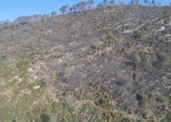 Incendio forestal “Puerto del Volcán”, en Miquihuana es liquidado al 100 %