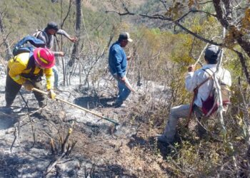 Reporta gobierno de Tamaulipas avance del 90% en control de incendio forestal en Jaumave