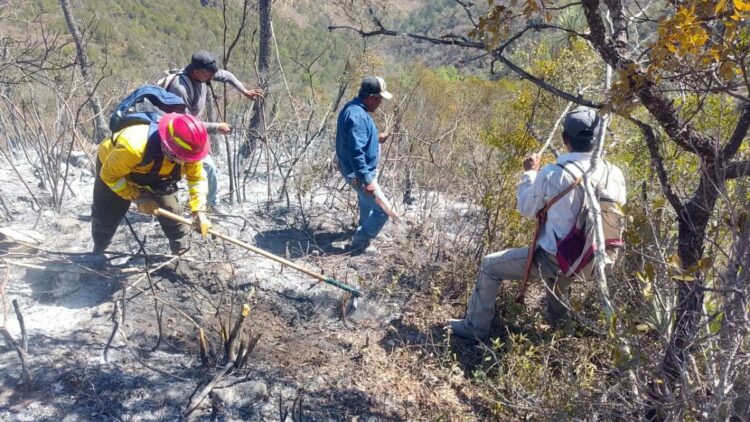 Reporta gobierno de Tamaulipas avance del 90% en control de incendio forestal en Jaumave