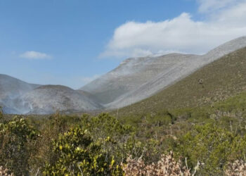 Tamaulipas activa operativo contra incendio forestal en Bustamante