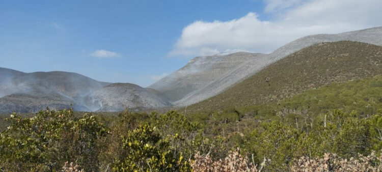 Tamaulipas activa operativo contra incendio forestal en Bustamante