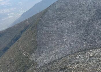 Continúan labores para el control y liquidación de incendio forestal en el Cerro El Tepozán
