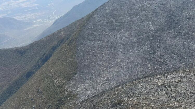 Continúan labores para el control y liquidación de incendio forestal en el Cerro El Tepozán