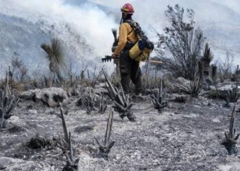 Tamaulipas logra la liquidación total del incendio forestal en Bustamante