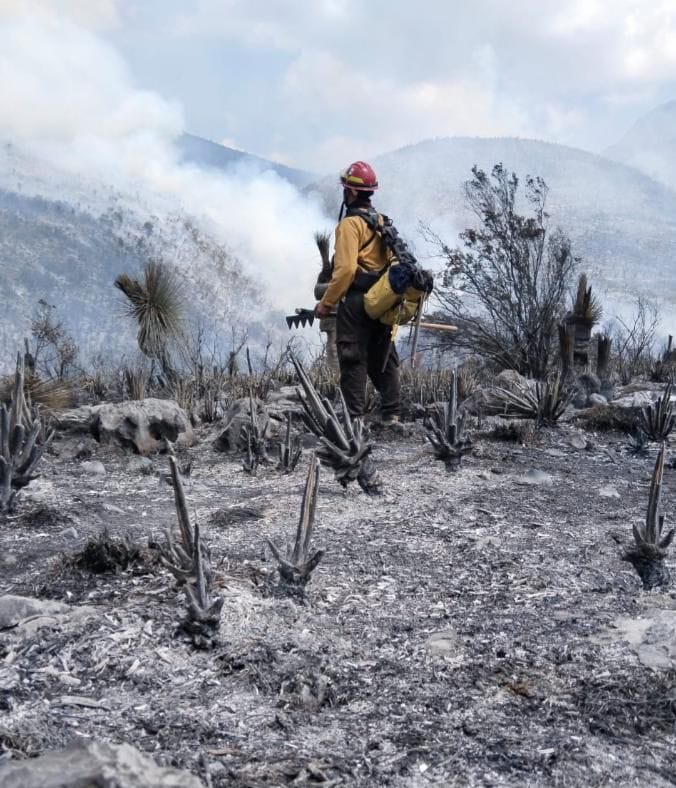 Tamaulipas logra la liquidación total del incendio forestal en Bustamante