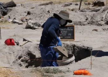 CJNG ejecutaba a 8 de cada 10 reclutas