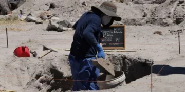 CJNG ejecutaba a 8 de cada 10 reclutas