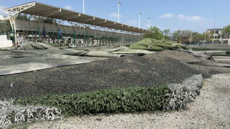 Renovación total en la Enrique Borja: Comienzan las obras en el corazón deportivo de Victoria