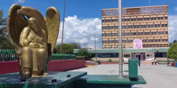 Otro escándalo en Sector Salud: Doctora del IMSS denuncia acoso