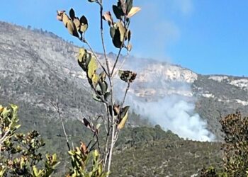 Incendio en Miquihuana arrasa 250 hectáreas