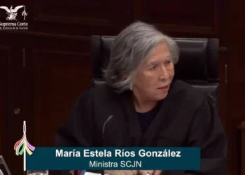 Ministra cuestiona en Corte pertenencia familiar de nacidos in vitro