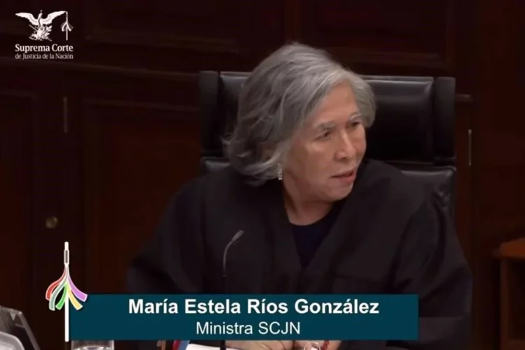 Ministra cuestiona en Corte pertenencia familiar de nacidos in vitro