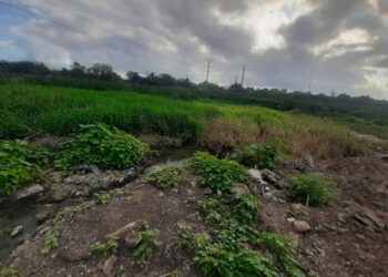 Denuncian relleno de la Laguna Tierra Negra en Ciudad Madero