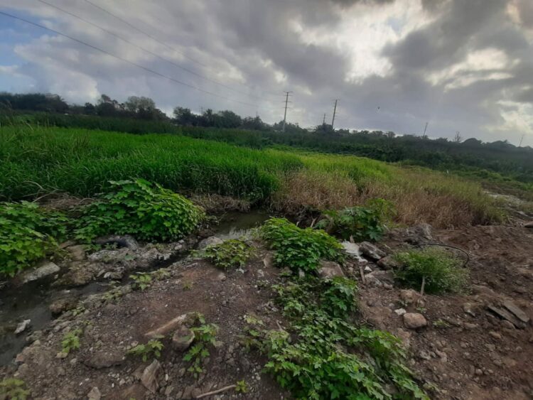 Denuncian relleno de la Laguna Tierra Negra en Ciudad Madero