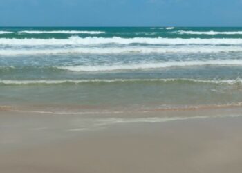 Fortalece Tamaulipas vigilancia ambiental ante presencia de hidrocarburos en costas de la zona sur