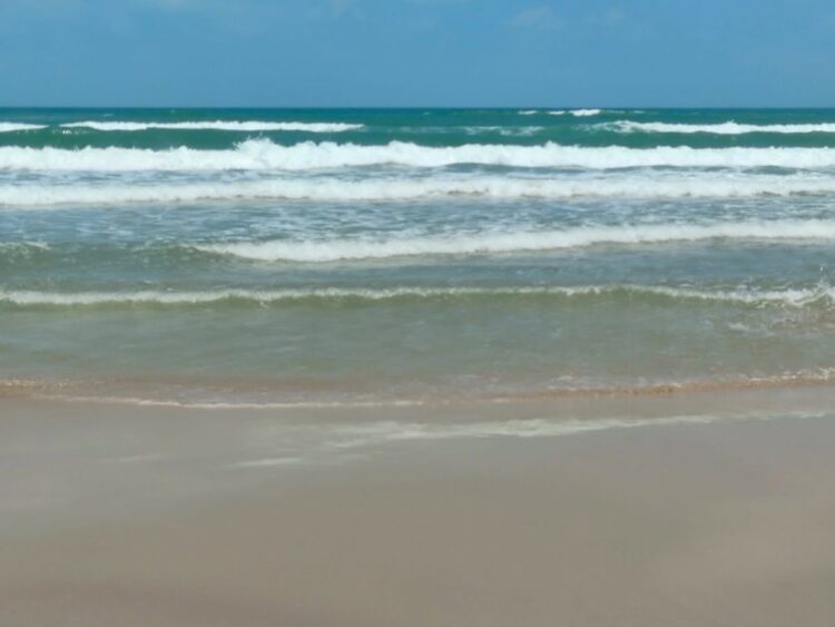 Fortalece Tamaulipas vigilancia ambiental ante presencia de hidrocarburos en costas de la zona sur