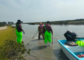 Impulsan desarrollo de granjas de ostión en Aldama y San Fernando