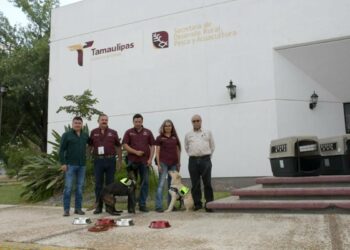 Refuerza Tamaulipas la sanidad pecuaria con binomios caninos especializados