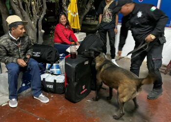 K-9 de la Guardia Estatal refuerza vigilancia en autobuses