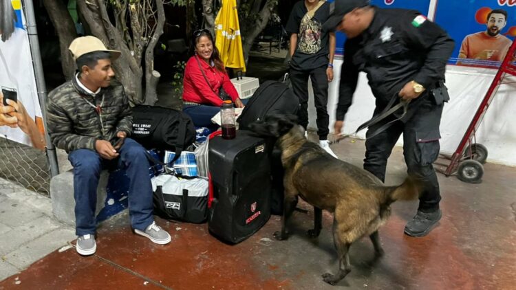 K-9 de la Guardia Estatal refuerza vigilancia en autobuses